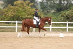 SBM_01448