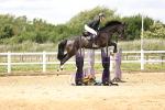 SBM_003320