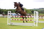 Class 12: Senior Foxhunter/1.20 open portfolio