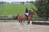 BPP_3738