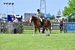 SBM_03846