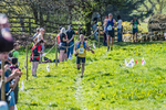 The Finish-613