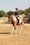 SBM_000391