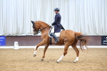 SBM_008974