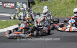 Kart Summer Series 2017_Race-1-17