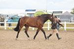 SBM_07884