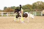 SBM_007221