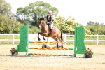 SBM_003639