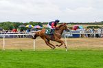 170826-Race 5-Our Absent Friends-9763