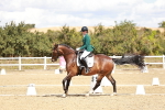 SBM_009836