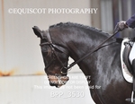BPP_3530