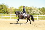 SBM_000787