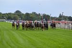 190826-Race 6-Miss Yechance-1580
