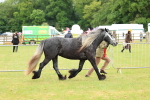 SBM_00601
