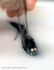 IDD011: Lanternfish