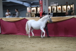 SBM_05084