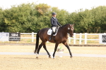 SBM_005264