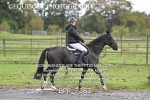 BPP_7363