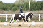 SBM_003656