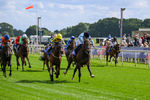 120626-Race 5-Antipodes-7817