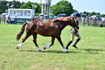 SBM_03879