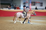 SBM_09533