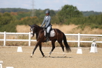 SBM_013606