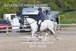 BPP_5519