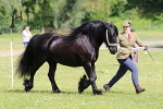 SIAL6246