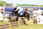 SBM_16698
