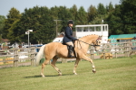 SBM_10227
