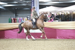 SBM_08959