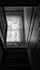 THE BACK STAIRS - NEWTOWN