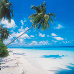 Maldive Swing. EDC004.