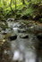 Dartmoor _ DR 008