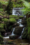 River Cascade at Kilbroney Park, Rostrevor
