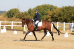 SBM_016636