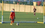 Ibis Under 9's portfolio