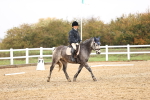 SBM_001972