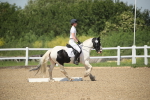 SBM_008940