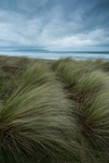 Portstewart Strand (07033578)