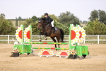SBM_03683