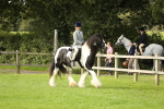 SBM_71478