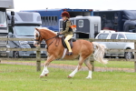 SBM_08743