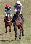 point to Point 2012 3