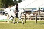 SBM_20080