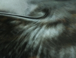 Galedffrwd 7