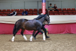 SBM_17417