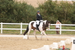 SBM_00438