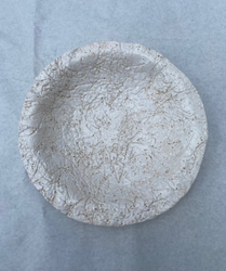 Lichen Plate